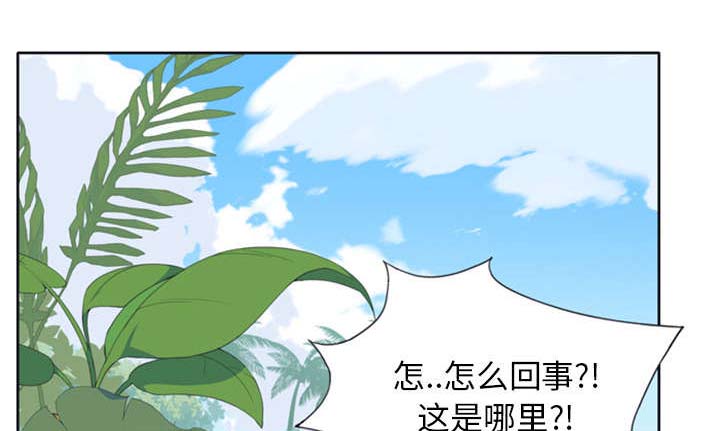 第3章：沉船31