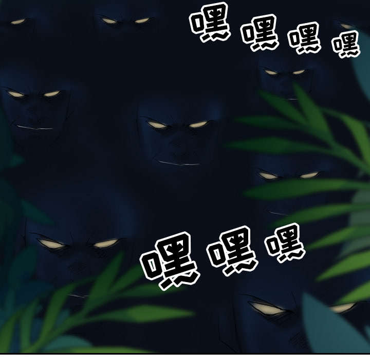第48章：大结局47