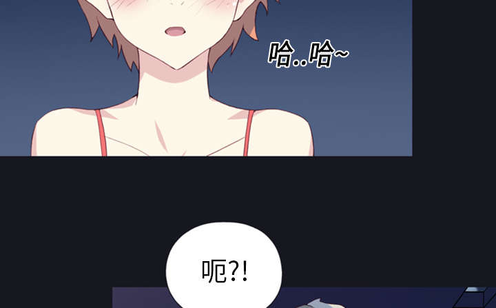 第1章：轮船40
