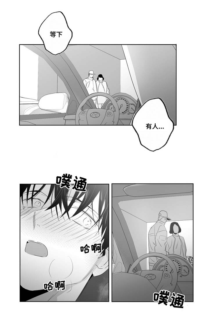 第48章：穷追不舍6