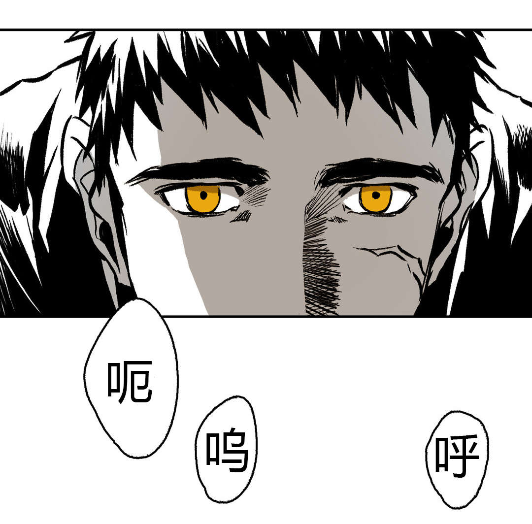 第14章：发泄20