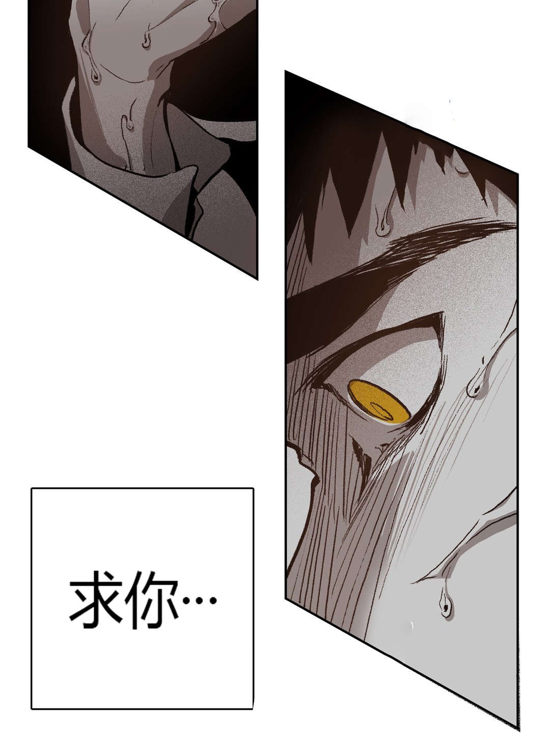 第65章：美好的记忆18
