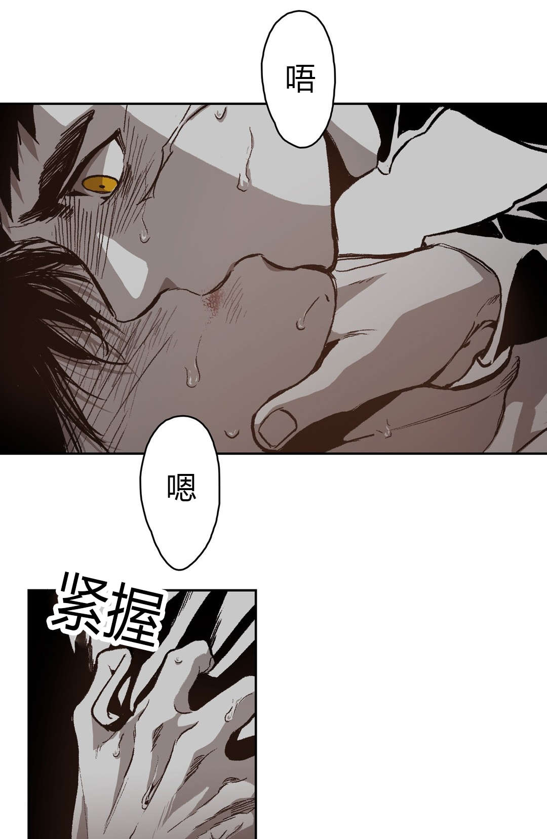 第65章：美好的记忆17