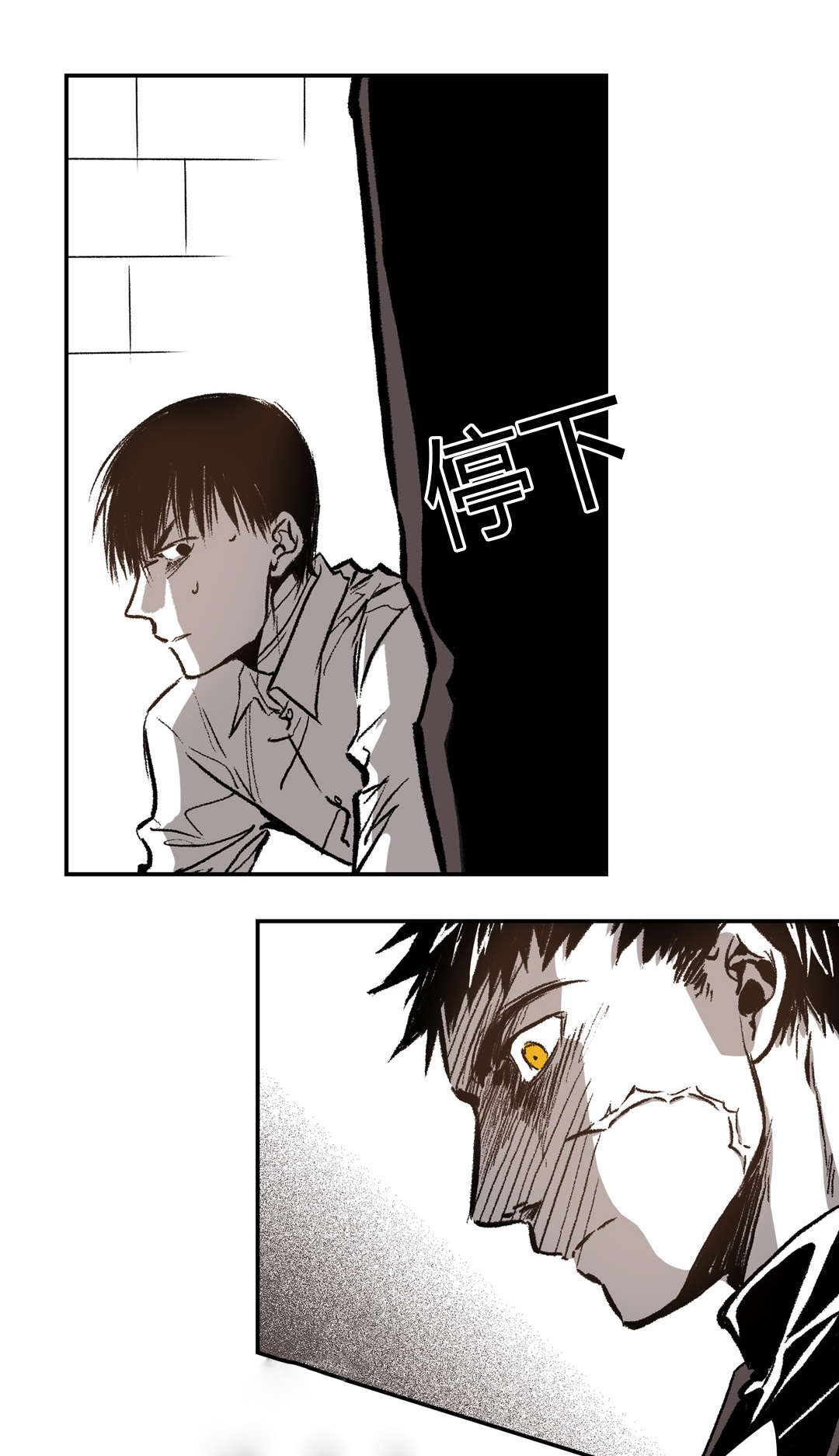 第36章：怀疑11