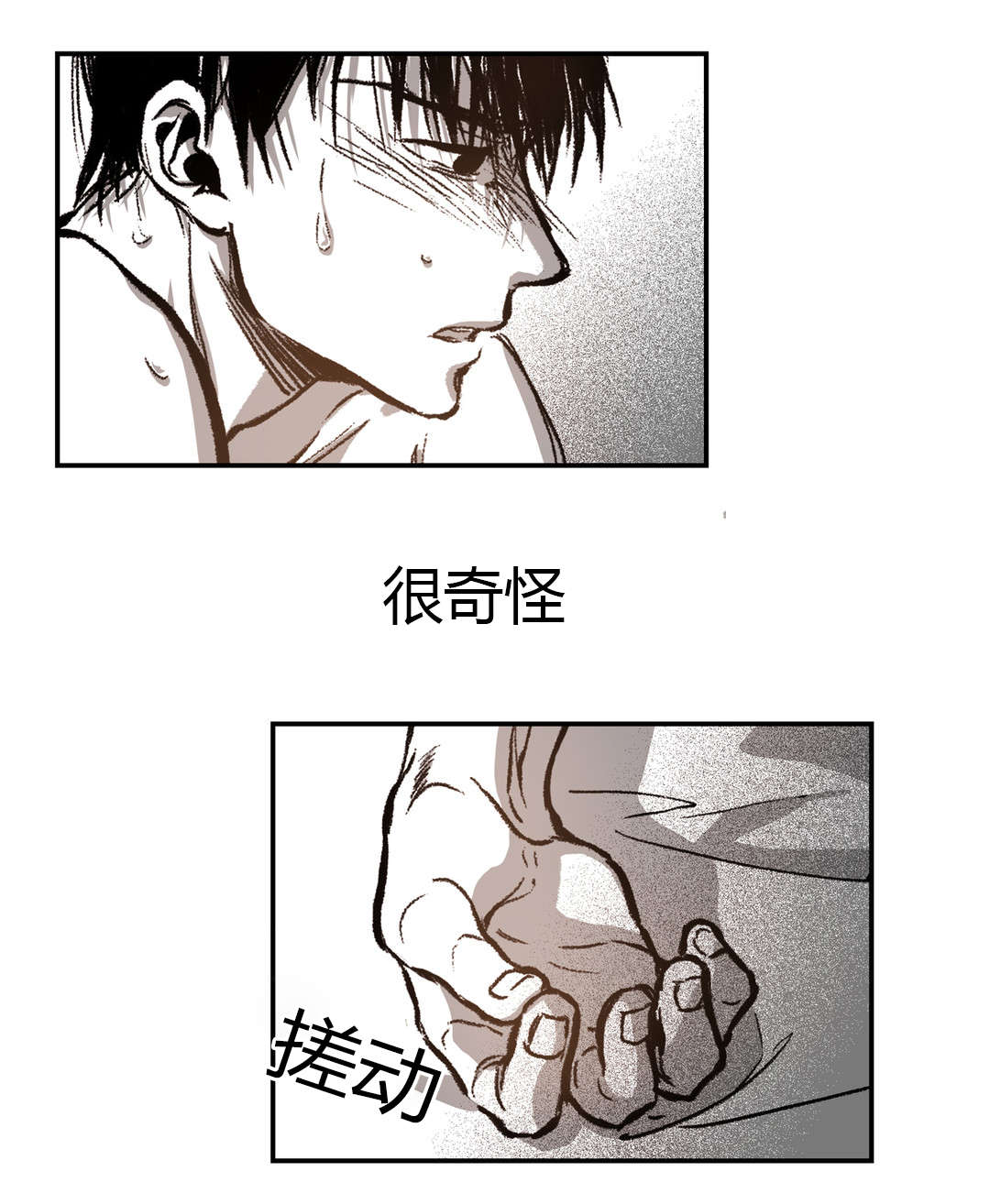 第32章：截然不同15