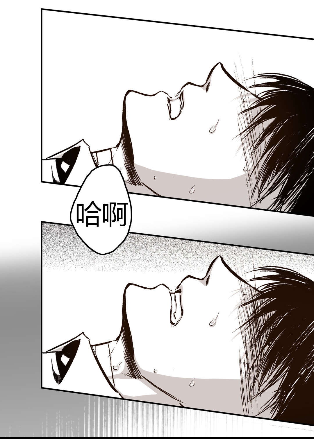 第40章：成功了4