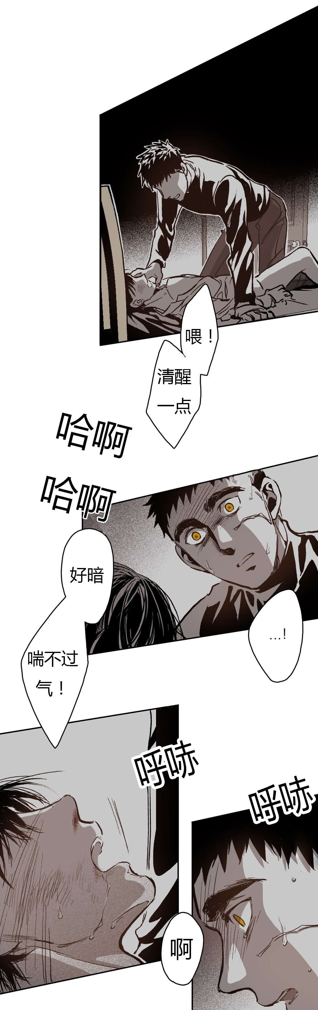 第65章：美好的记忆14