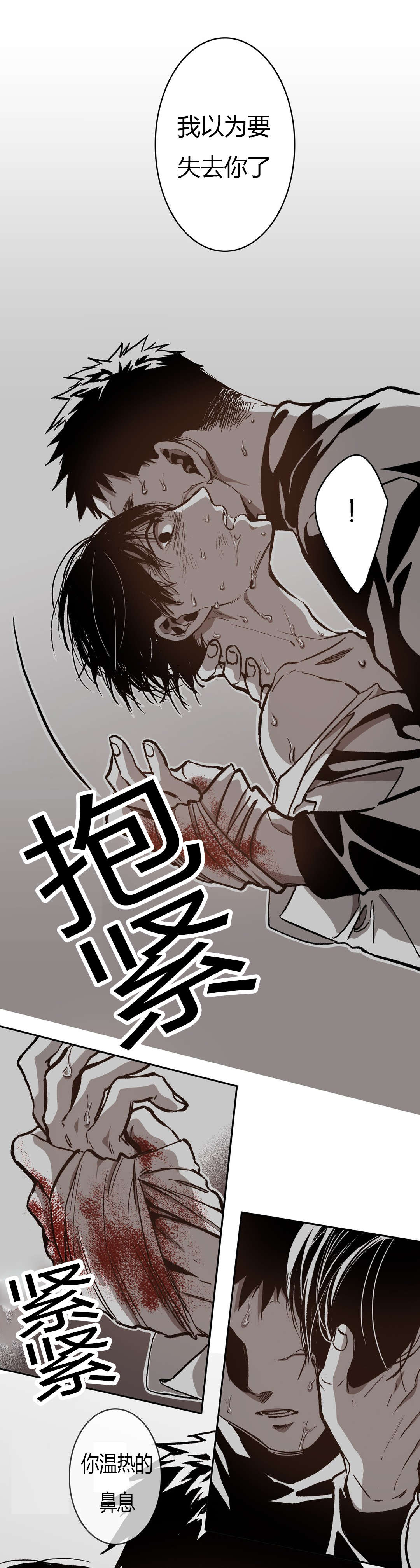 第66章：道贤的询问15