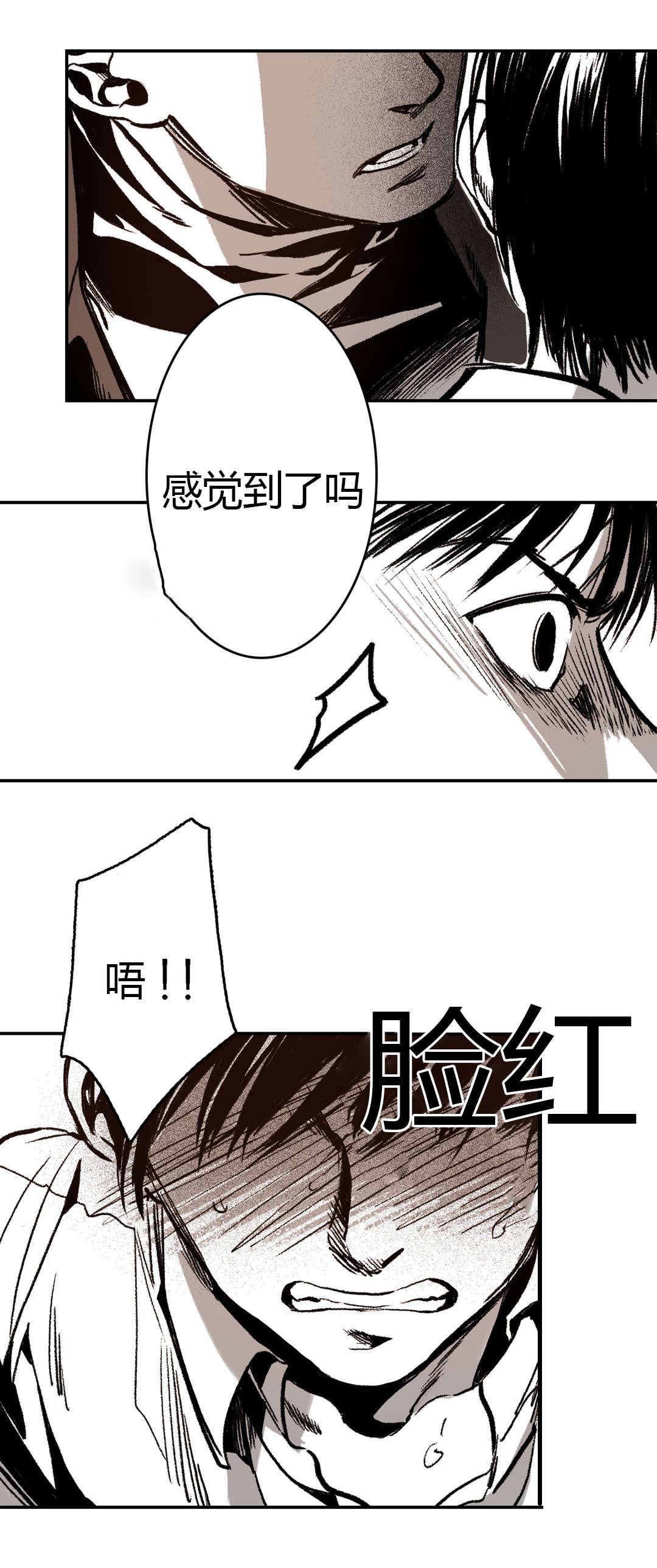 第11章：感觉16