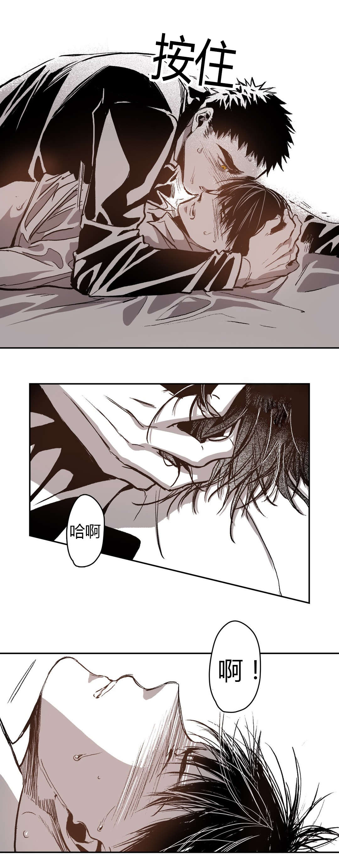 第56章：愤怒4