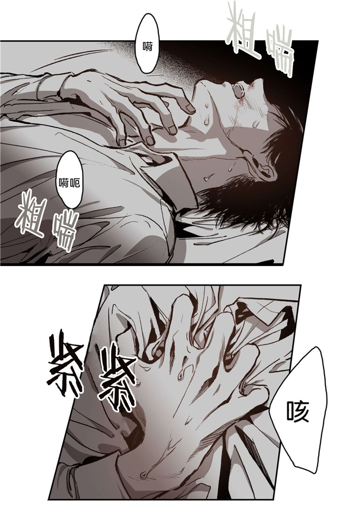 第64章：第一次遇见仓库16