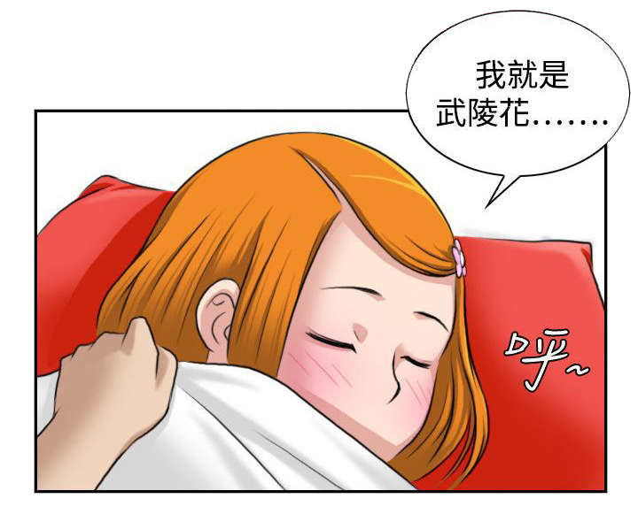 第14章：武陵花17