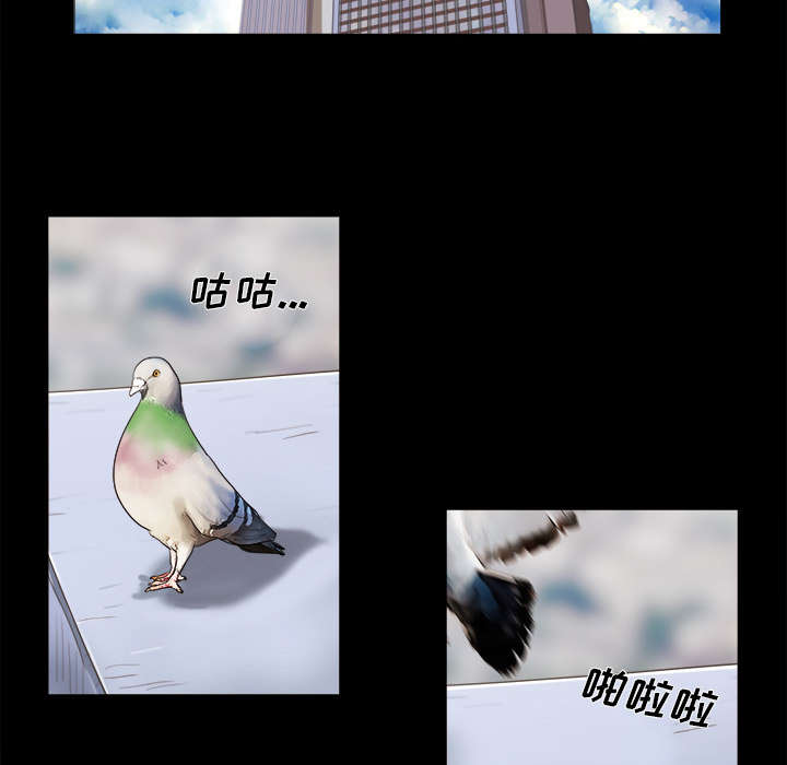 第20章：吃醋9