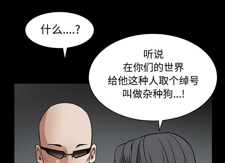 第65章：接管36