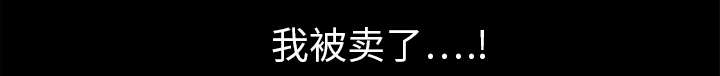 第17章：我被卖了67