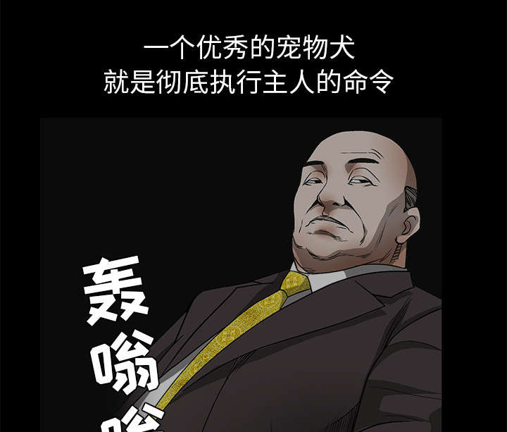 第89章：价值120亿37