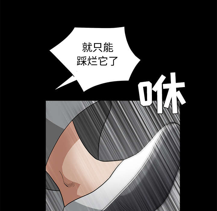 第56章：告知会长20