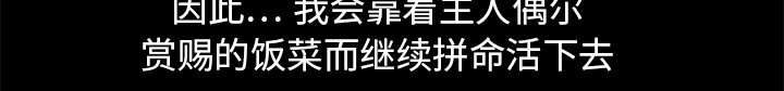 第28章：我属于那里22
