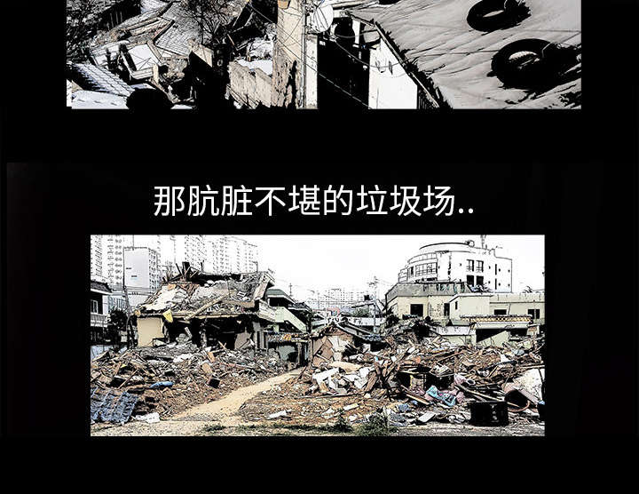 第1章：决定12