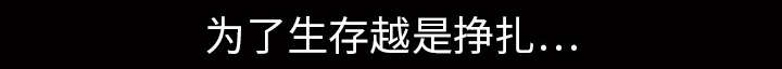 第41章：活的卑微5