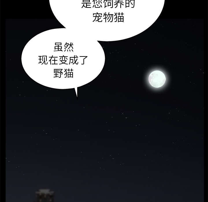 第115章：高高在上19