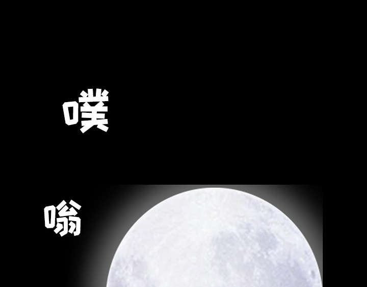 第78章：高级收藏品44