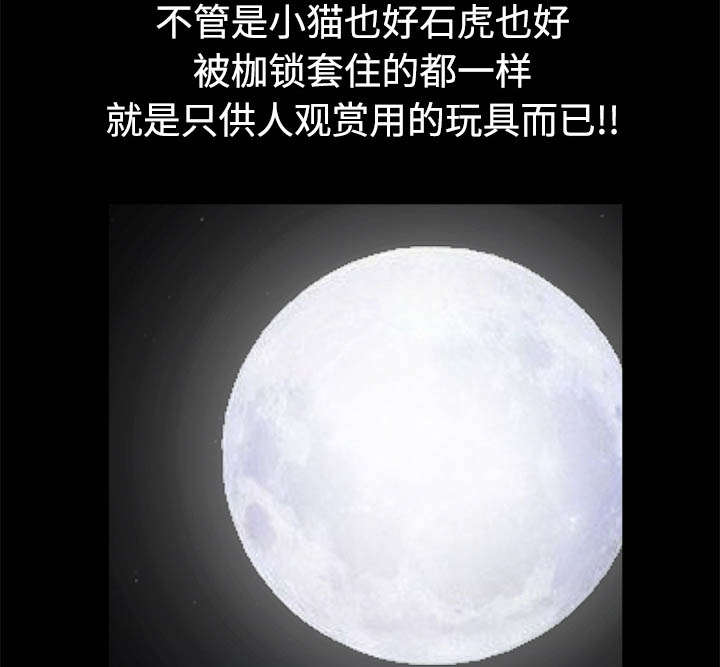 第97章：圈套34