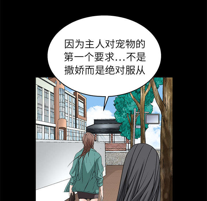 第37章：弱点21
