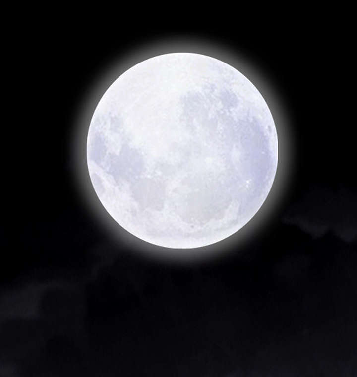 第81章：将了一军31