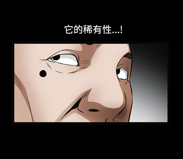 第78章：高级收藏品22