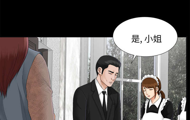 第45章：姐妹相见8