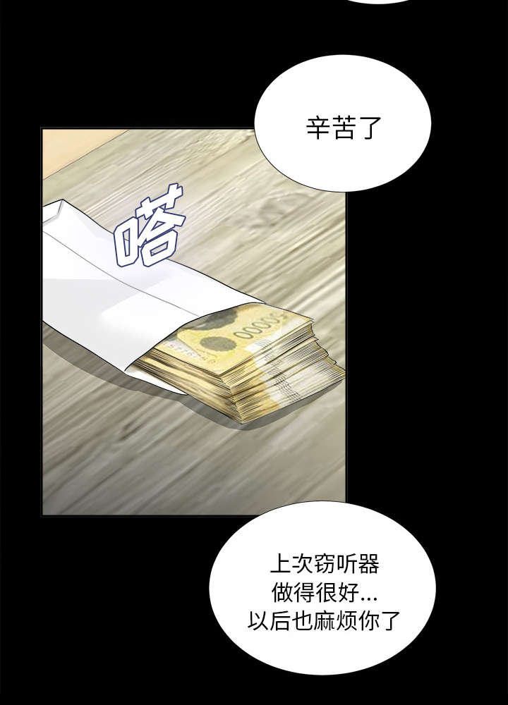 第24章：双面间谍29