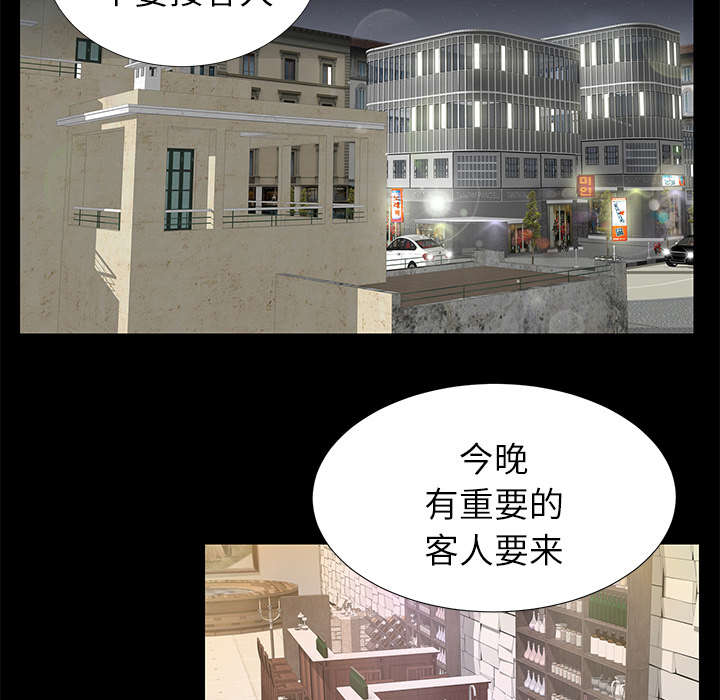 第36章：特殊客人16