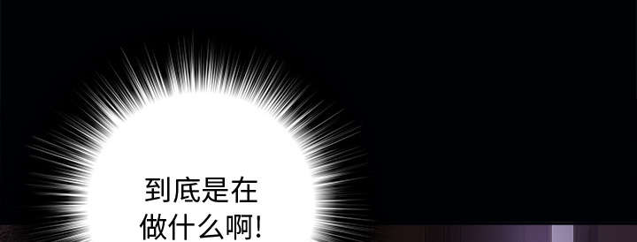 第5章：惊人的发现27