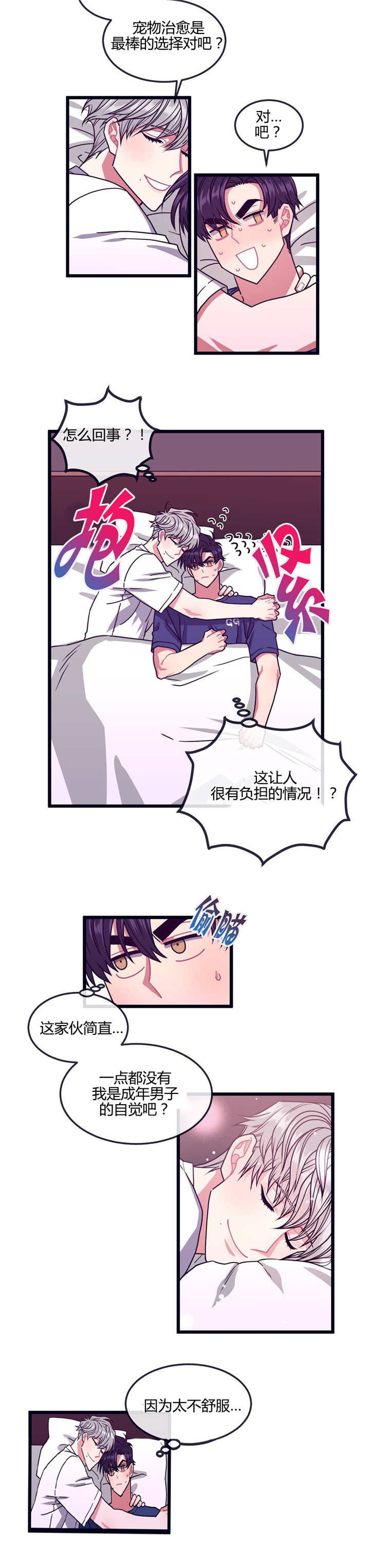 第11章：宠物治愈3