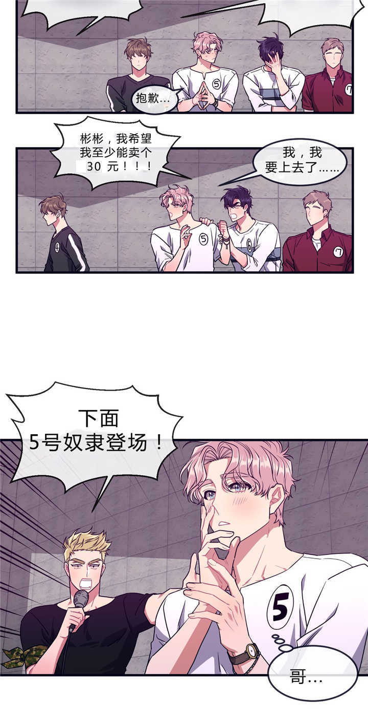 第40章：庆典拍卖9