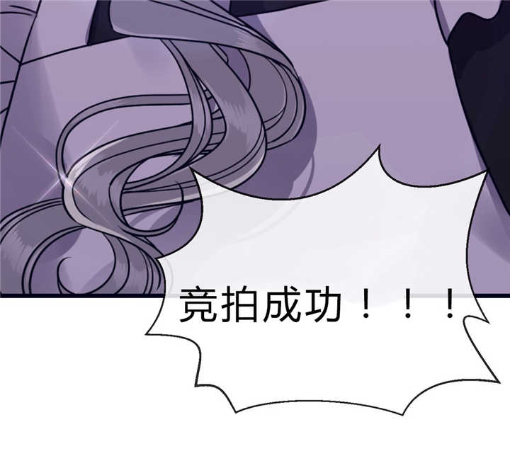 第41章：竞拍成功10