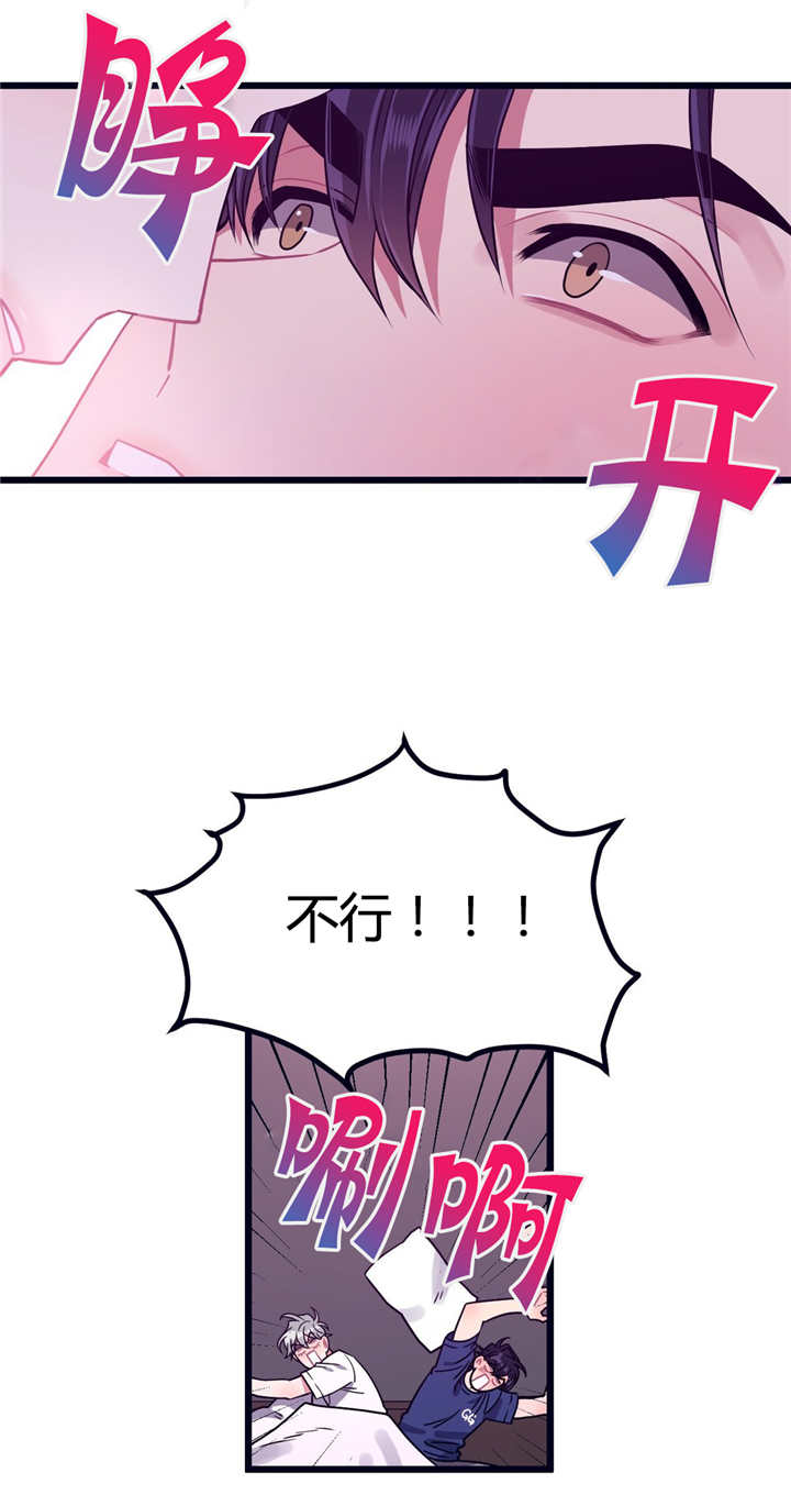 第11章：宠物治愈9