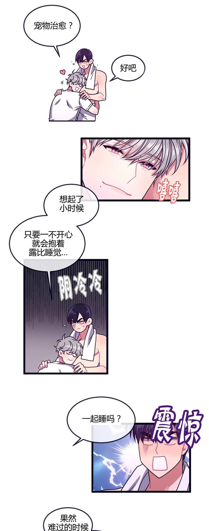 第11章：宠物治愈2