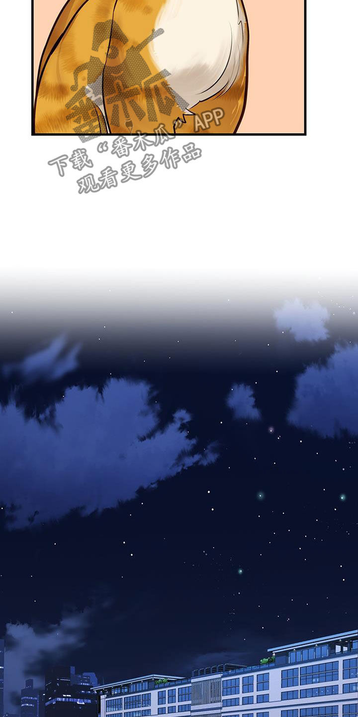 第29话20