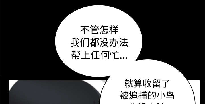 第17章：守护17