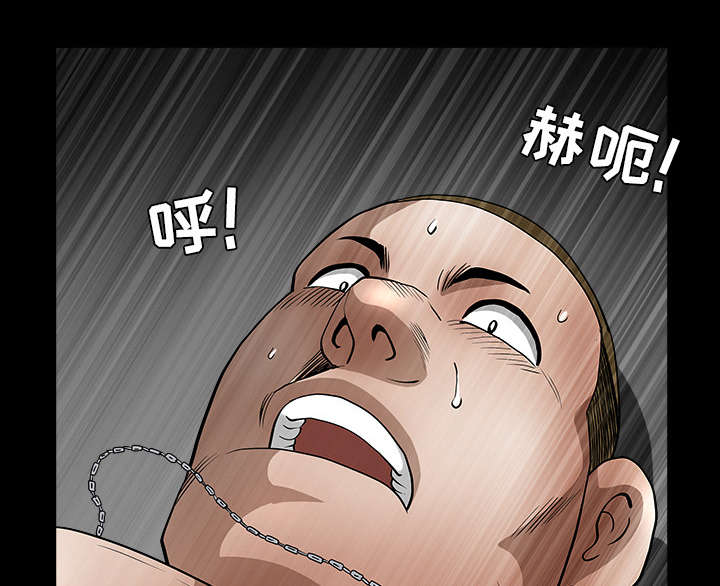 第43章：适应71