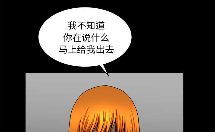 第66章：两个女人19
