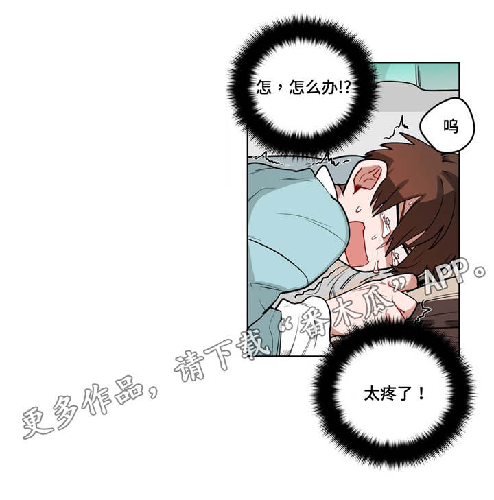 第31章：非法入侵6