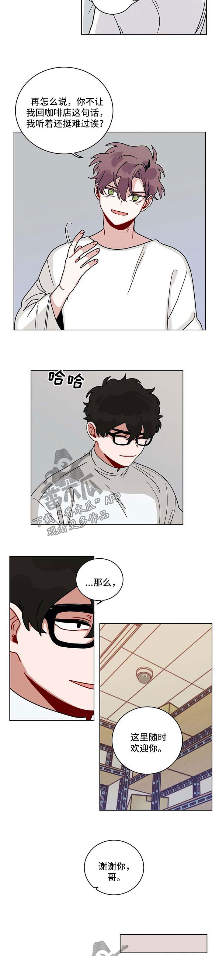 第168章：有规律4