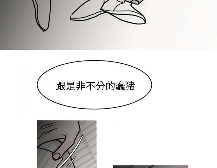 第38章：搬弄是非9