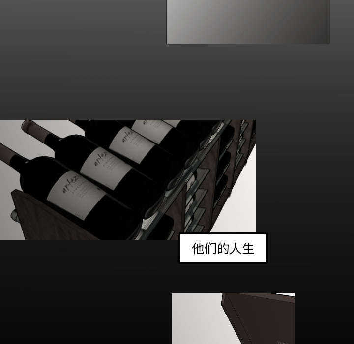 第30章：我是可有可无的7