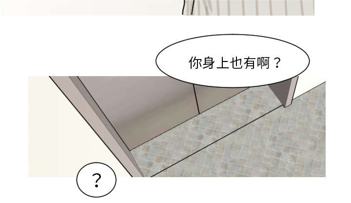 第13章：贴纸21