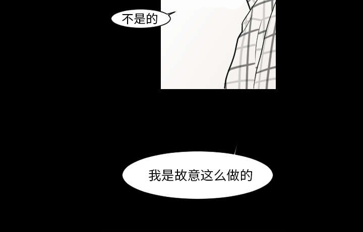 第15章：我是故意的20