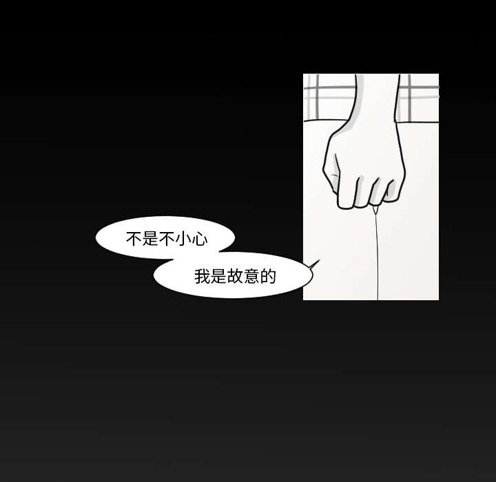 第15章：我是故意的21